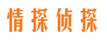 额敏市场调查